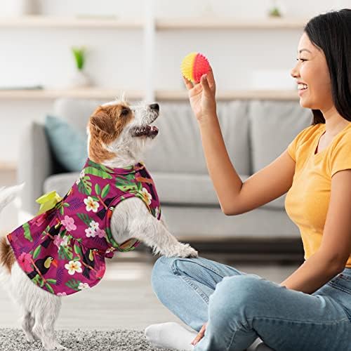 LEIFIDE, 8 бр. Летни Тематични Хавайски рокли за кучета, Празнична рокля за кучета, Поли за домашни любимци с плодов